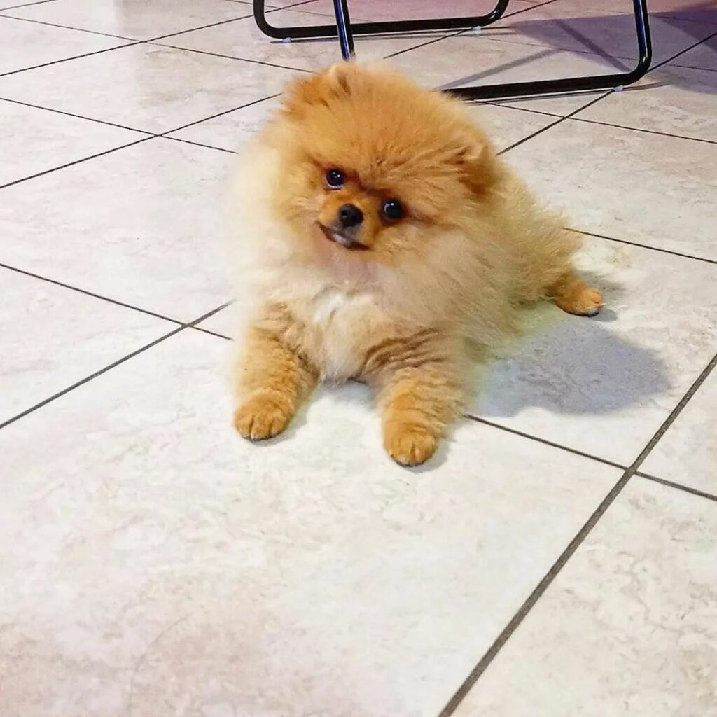 11 982647273 22 7369330561669120759638 1895035362 11 982647273 22 7369330561669120759638 1895035362