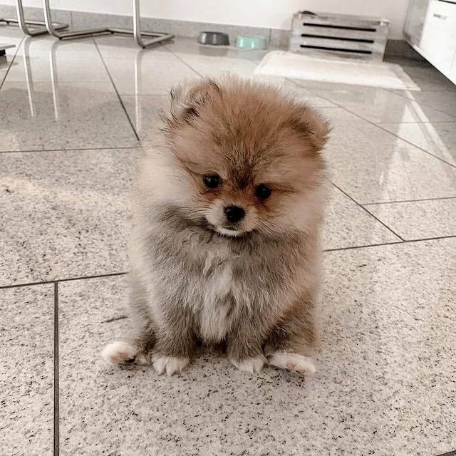 277419630 365758738778259 7516811258486864065 n 277419630 365758738778259 7516811258486864065 n