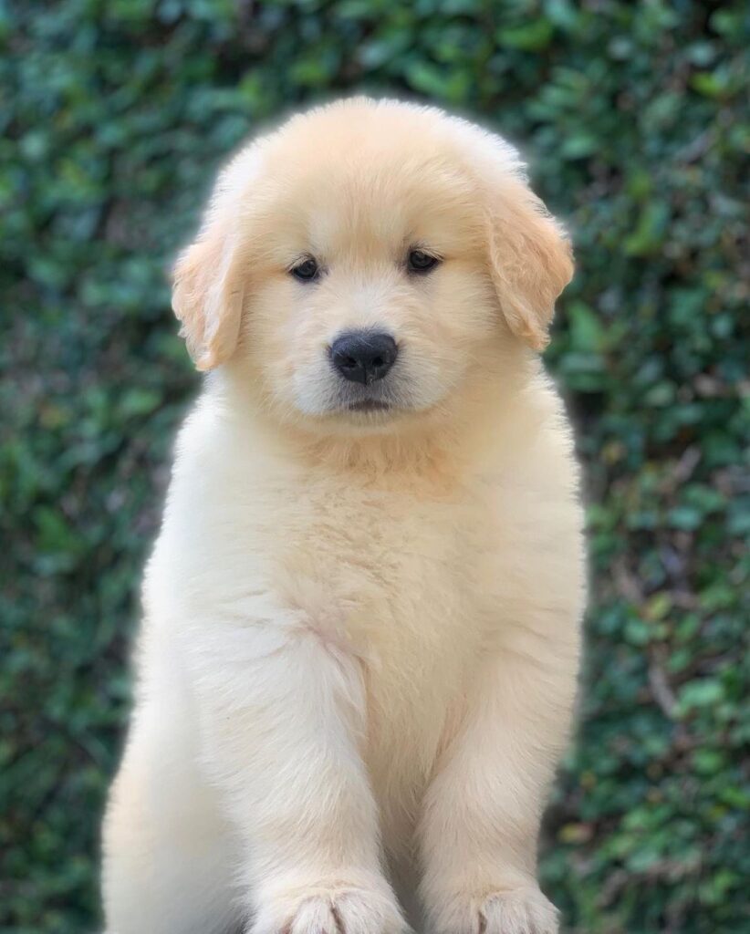 5d30f553 8f65 4ccb 9d6e 793af023412f