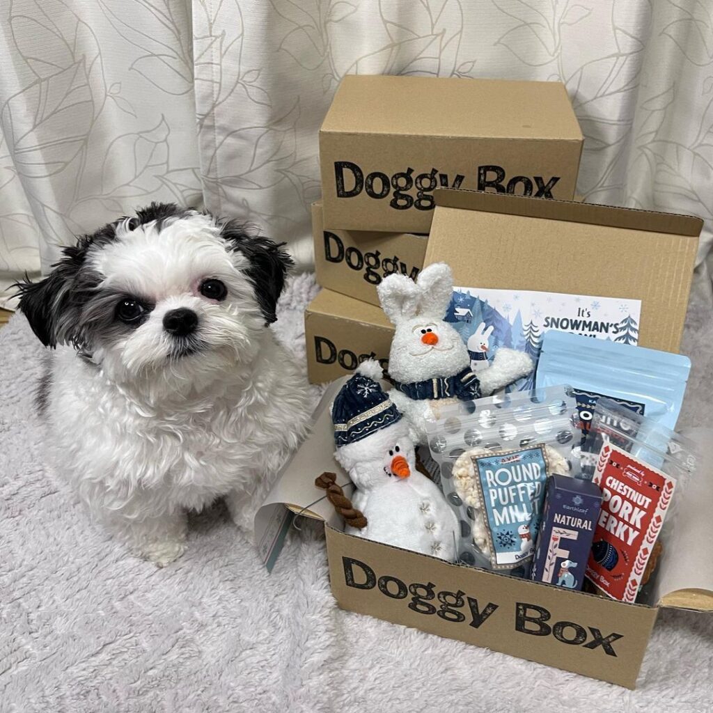 img 20230116 wa0105 img 20230116 wa0105