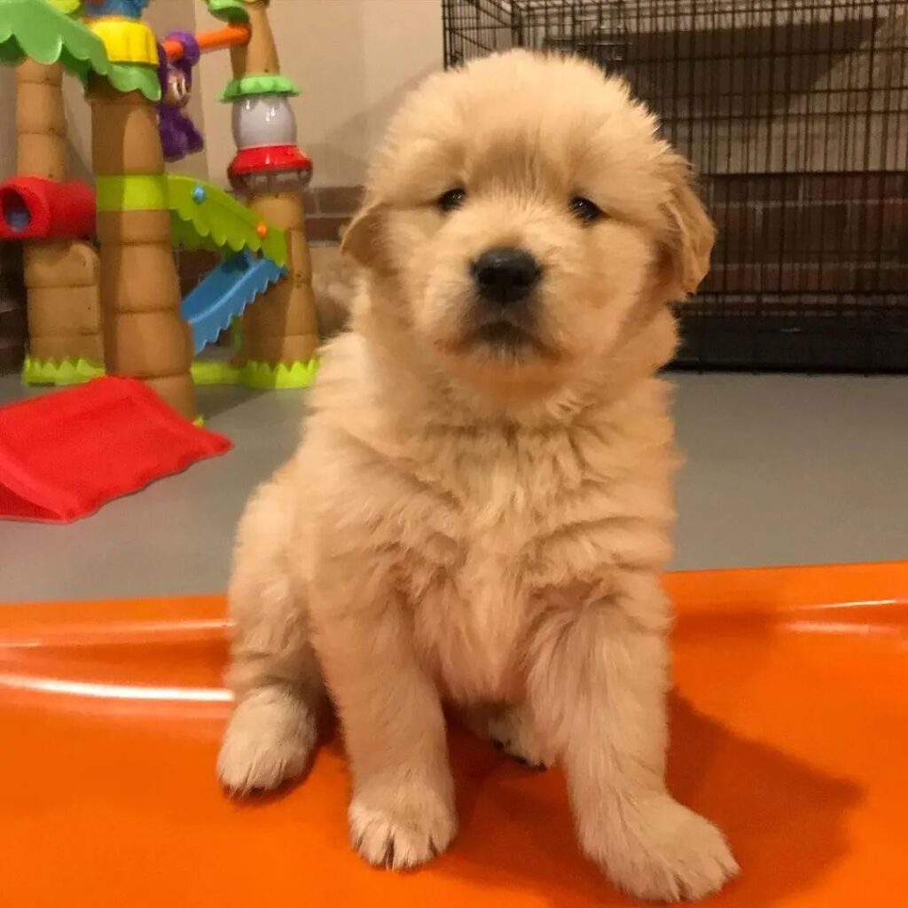 whatsapp image 2022 08 07 at 11.50.56 am