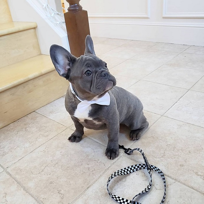 whatsapp image 2022 08 07 at 11.55.17 am