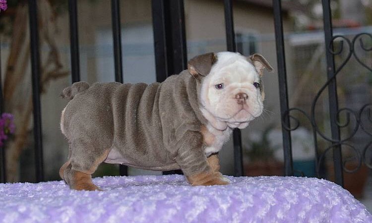 whatsapp image 2022 08 07 at 11.57.16 am