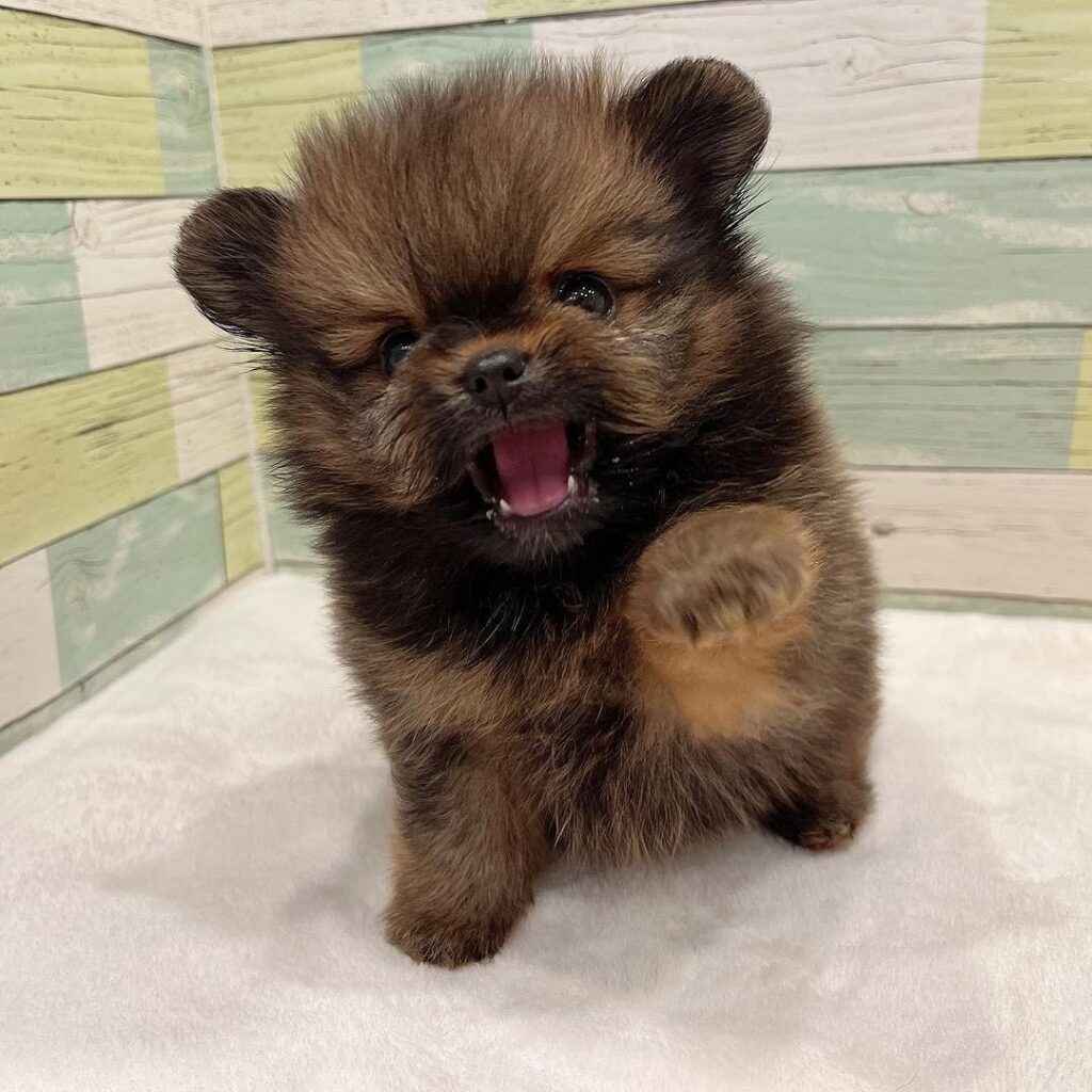 whatsapp image 2023 01 16 at 6.26.33 pm whatsapp image 2023 01 16 at 6.26.33 pm