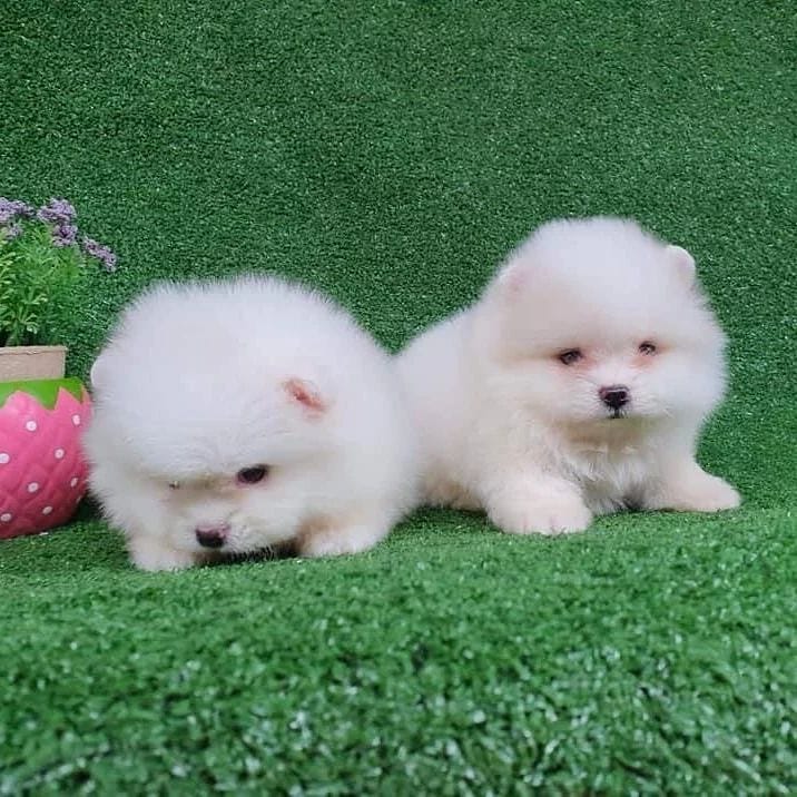 whatsapp image 2023 01 24 at 4.42.41 am (1) whatsapp image 2023 01 24 at 4.42.41 am (1)