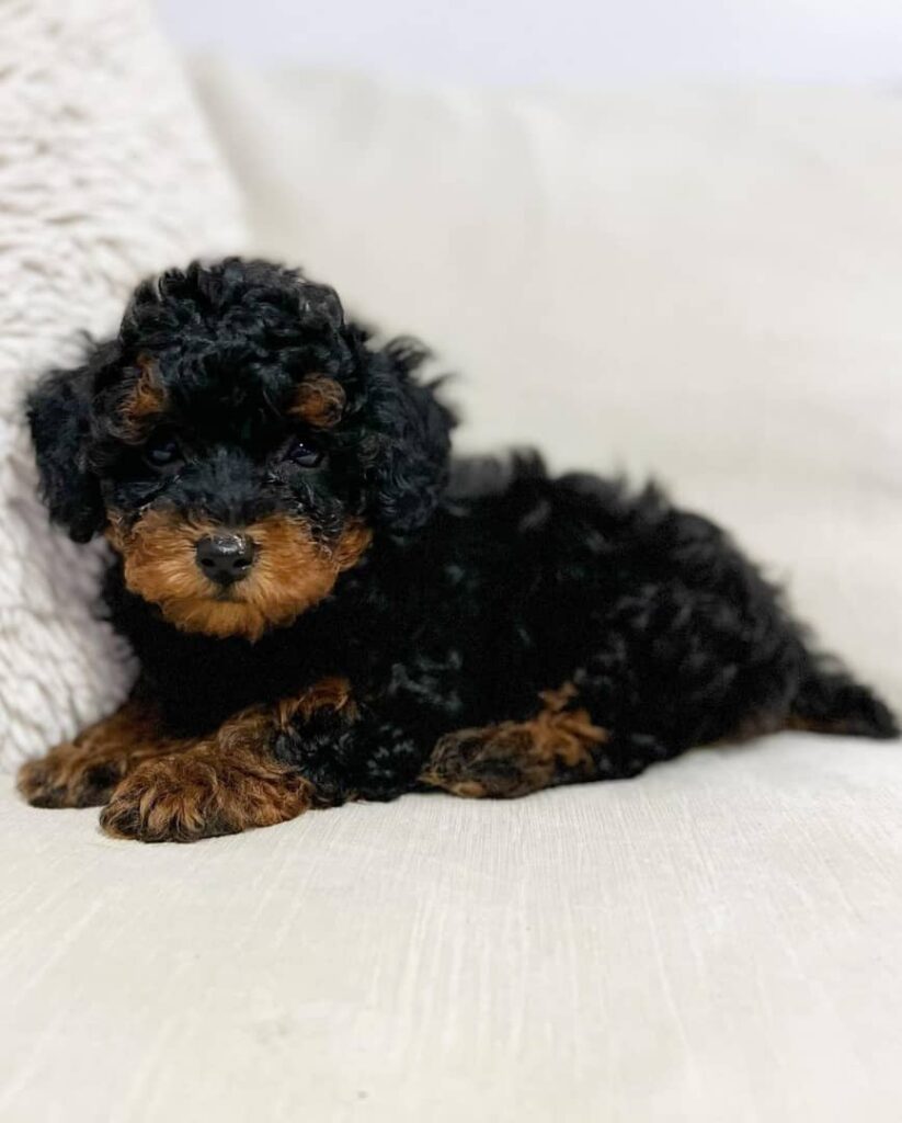 whatsapp image 2023 01 25 at 4.01.40 pm