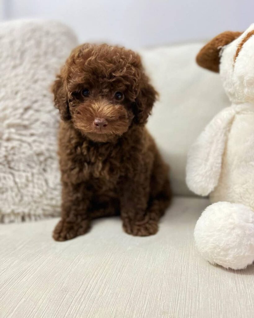 whatsapp image 2023 01 25 at 4.01.42 pm (2)