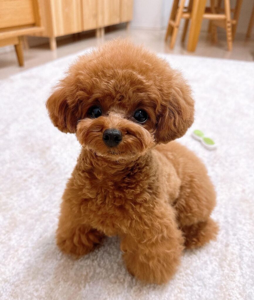 whatsapp image 2023 06 05 at 10.56.26 am (1) whatsapp image 2023 06 05 at 10.56.26 am (1)