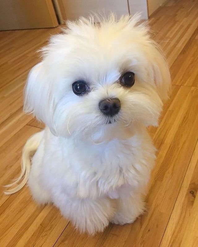 whatsapp image 2023 06 05 at 10.58.02 am (1)