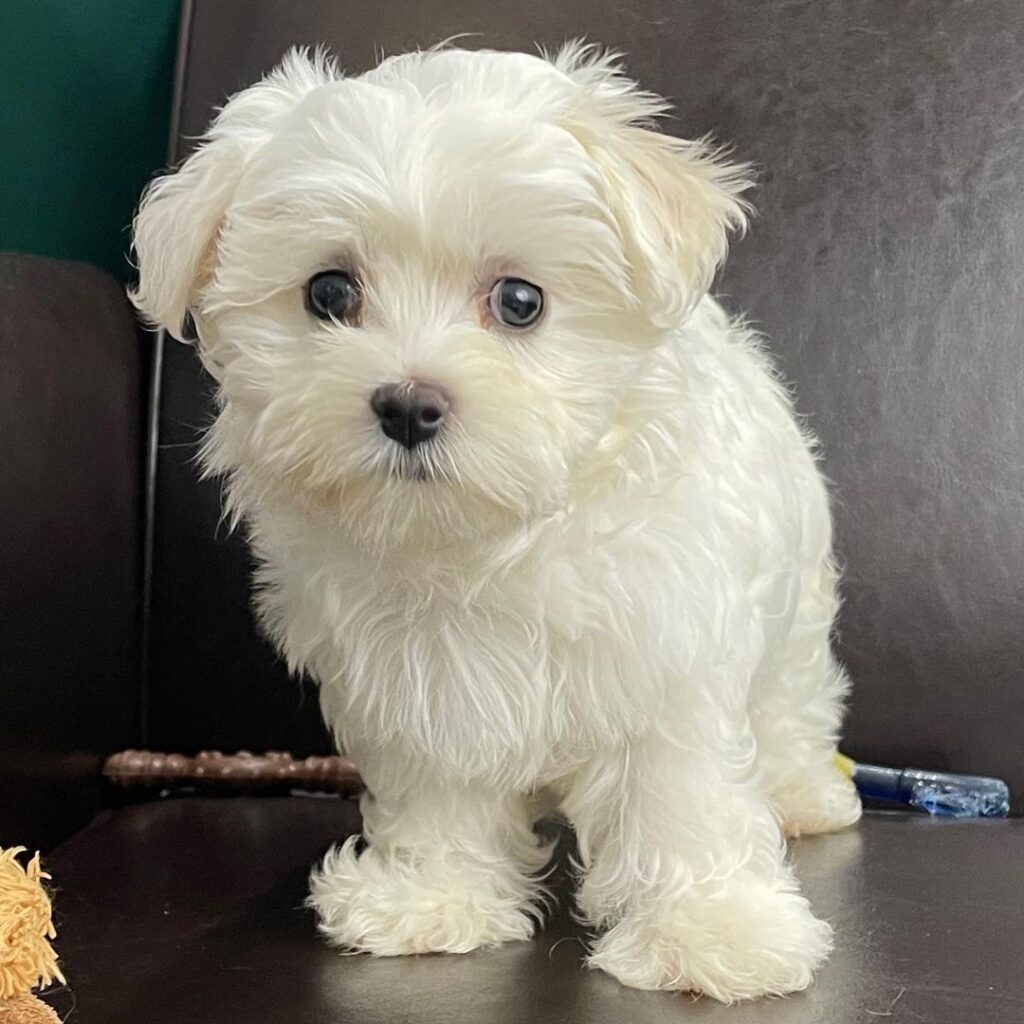 whatsapp image 2023 06 05 at 10.58.03 am