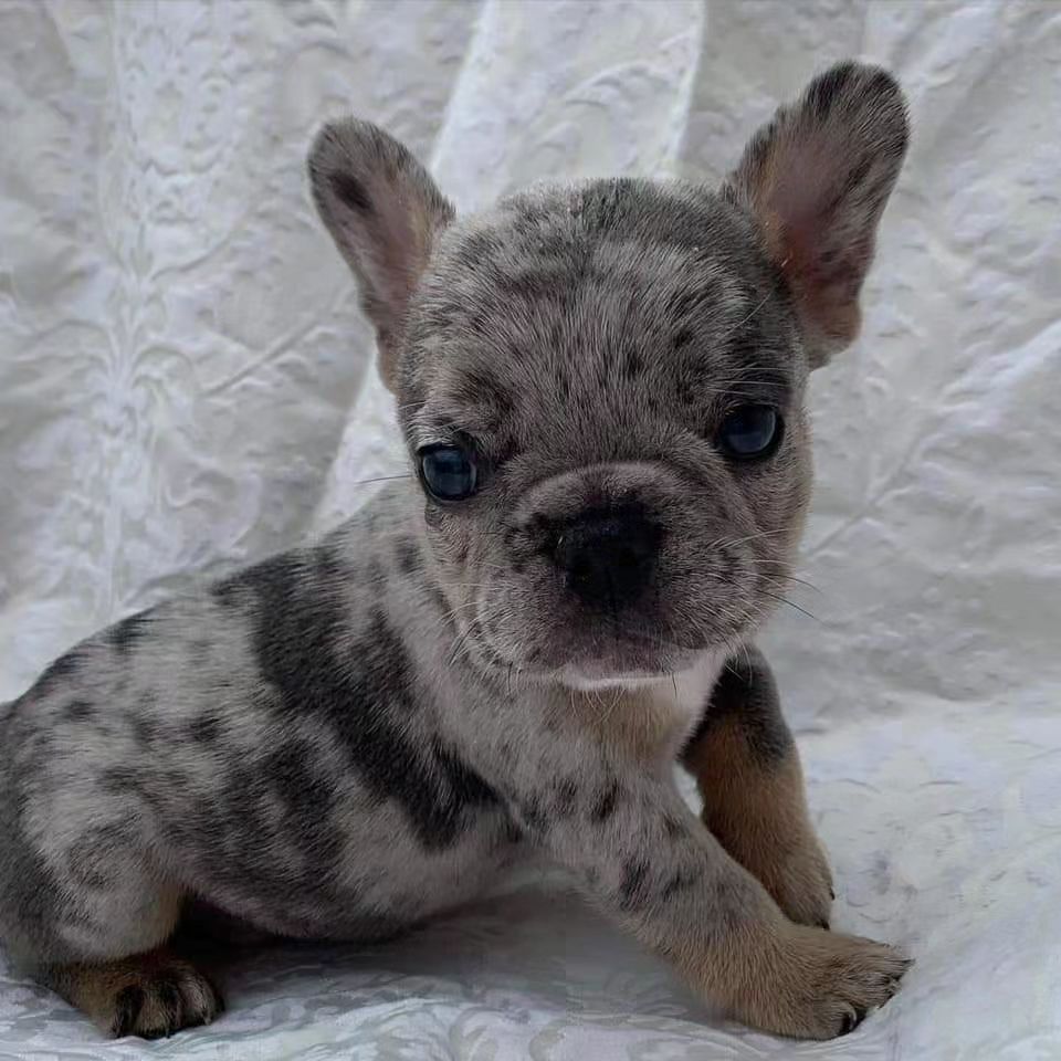 b733f44c a227 4830 968e 060c47da97ac