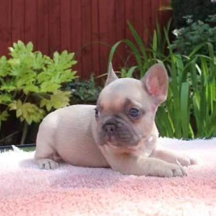 beaa6e68 24b2 45c1 9e95 cad49503f33b