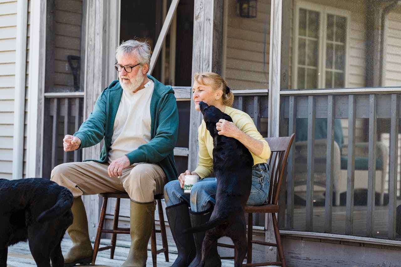 A senior couple enjoys a moment with their dogs on the porch, expressing joy and companionship.